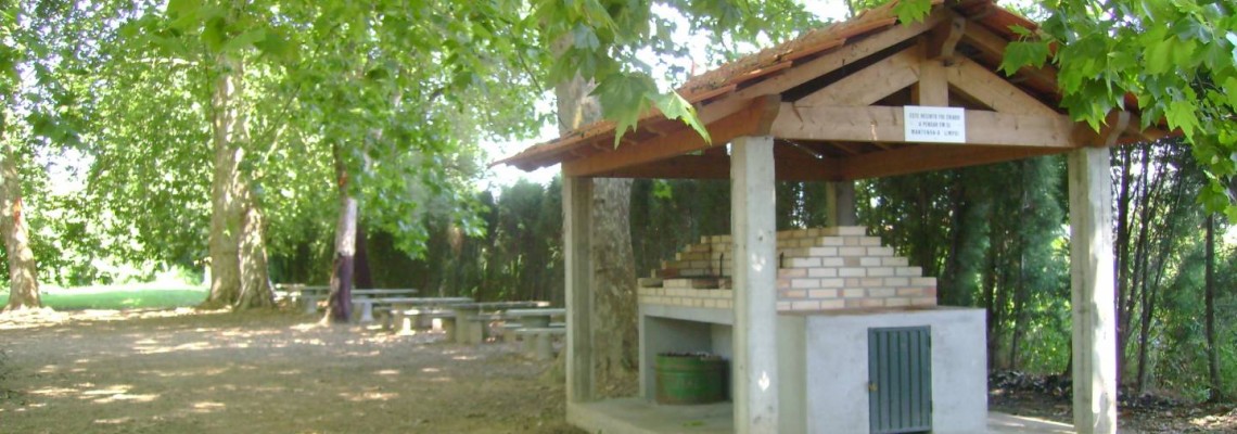 Caminhada solidária “Todos por Todos”