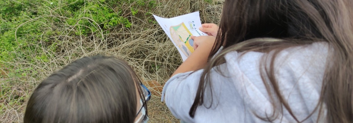 Peddy Jovem - inscrições abertas até 19 de setembro