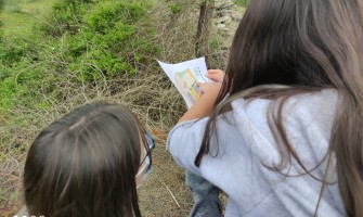 Peddy Jovem - inscrições abertas até 19 de setembro