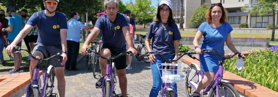 Percursos Dourado e Verde passam por Anadia
