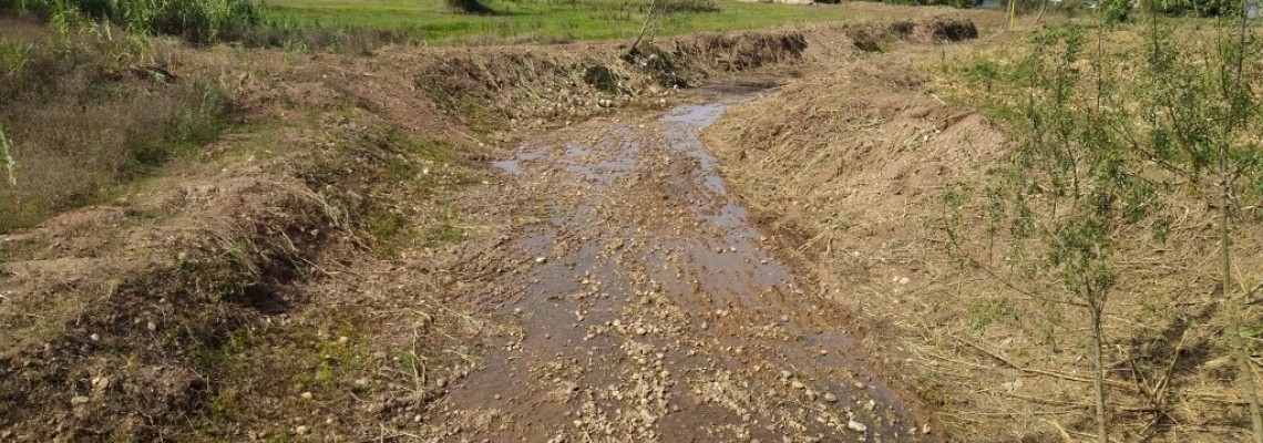 Limpeza do Rio da Serra e do Rio Cértima