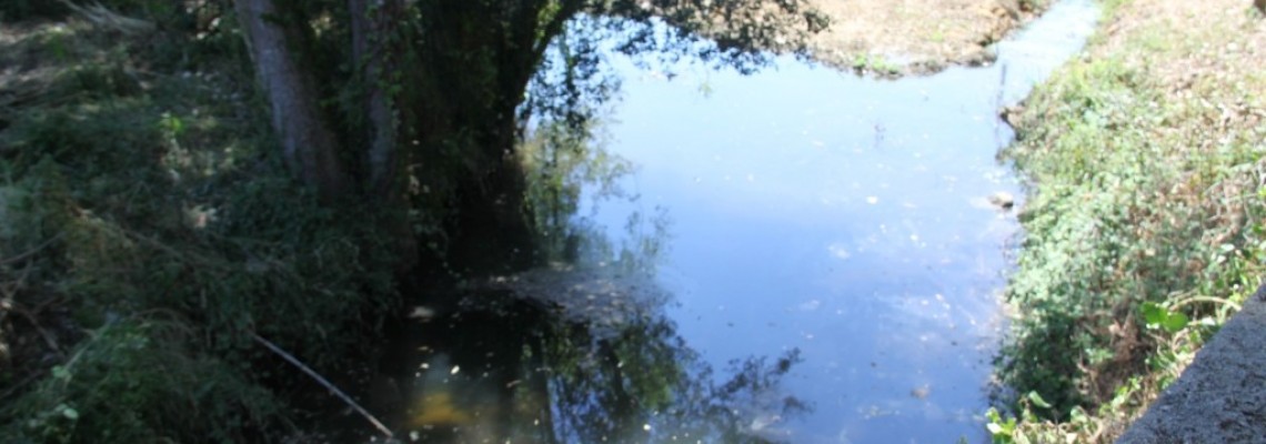 Sessões de esclarecimento sobre obras no Rio Levira