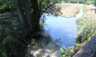 Sessões de esclarecimento sobre obras no Rio Levira