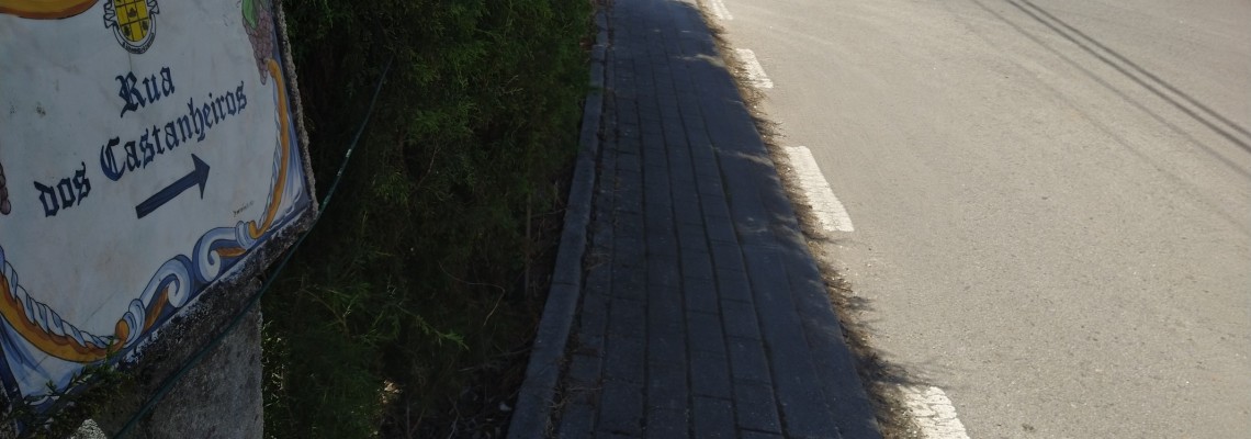 Requalificação da Rua dos Castanheiros