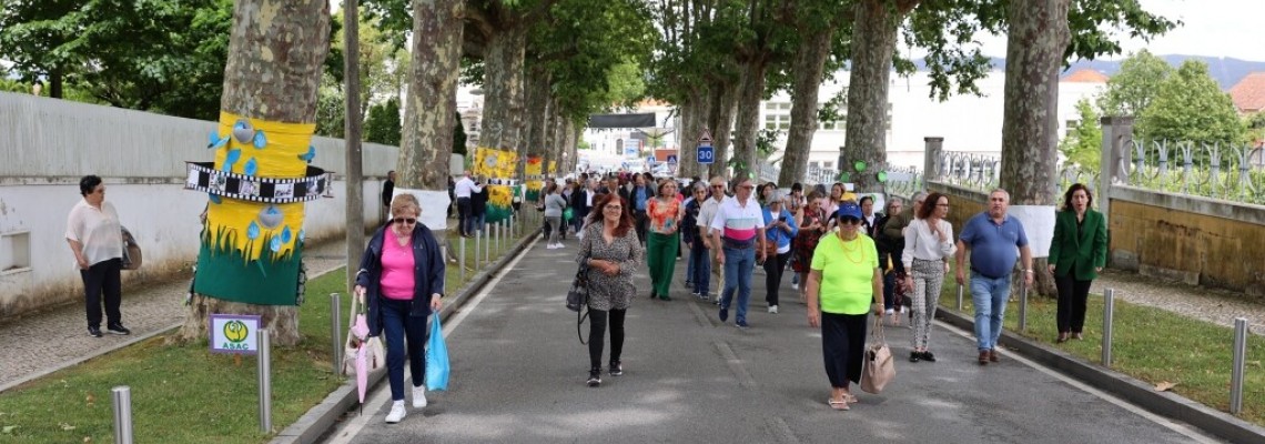 “O Social abraça Anadia” embeleza a cidade