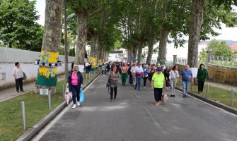 “O Social abraça Anadia” embeleza a cidade