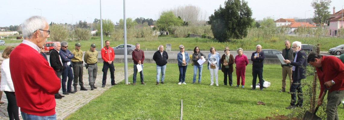 USC assinala Dia da Poesia e das Florestas