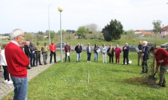 USC assinala Dia da Poesia e das Florestas