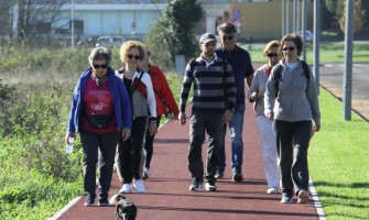 Universidade Sénior cria oficina 