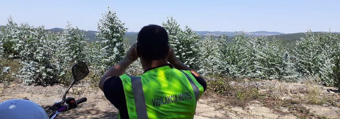 Vigilância florestal no concelho de Anadia com balanço positivo