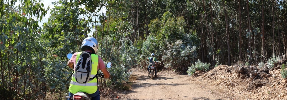 Vigilância móvel da floresta prolongada 