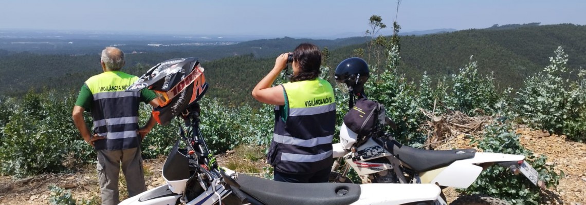 Vigilância móvel da floresta