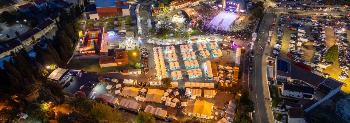 Bilhetes para a Feira da Vinha e do Vinho  à venda