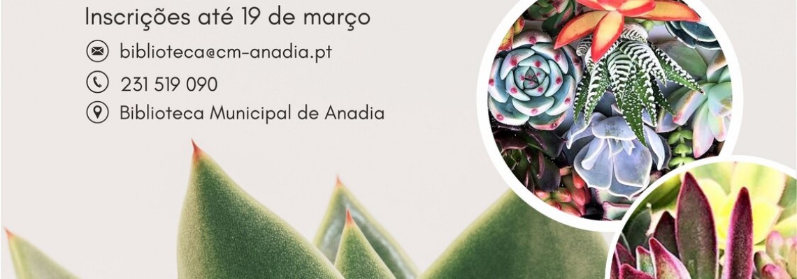 Workshop - Como cuidar das suculentas?
