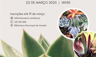 Workshop - Como cuidar das suculentas?