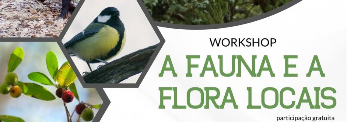 workshop gratuito - inscrições abertas