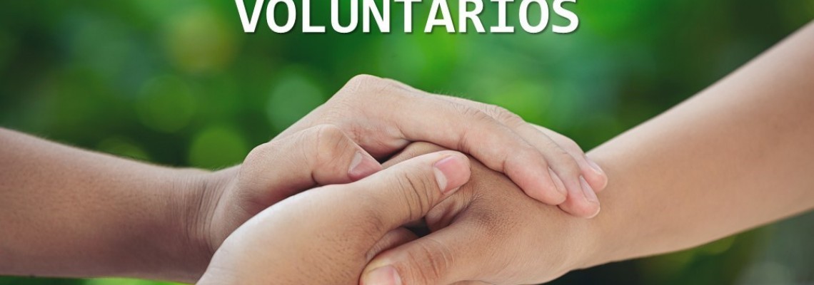 Banco Local de Voluntariado de Anadia