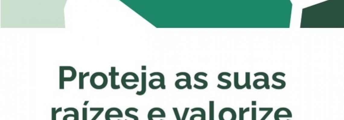 Anadia adere ao Balcão Único do Prédio