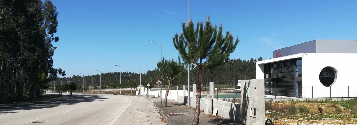 Alienação de lote da Zona Industrial de Vilarinho